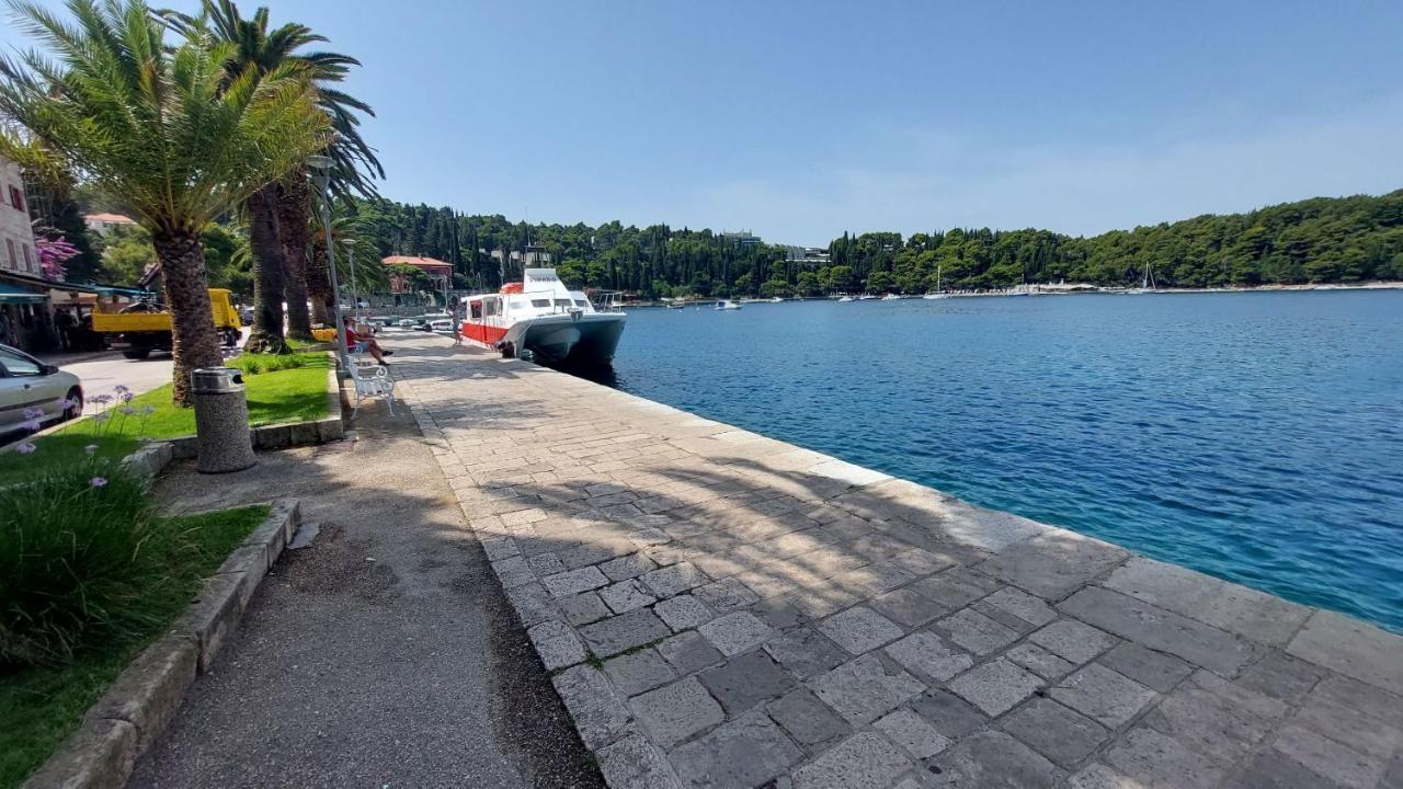 Palace Pernarius Apartmán Cavtat
